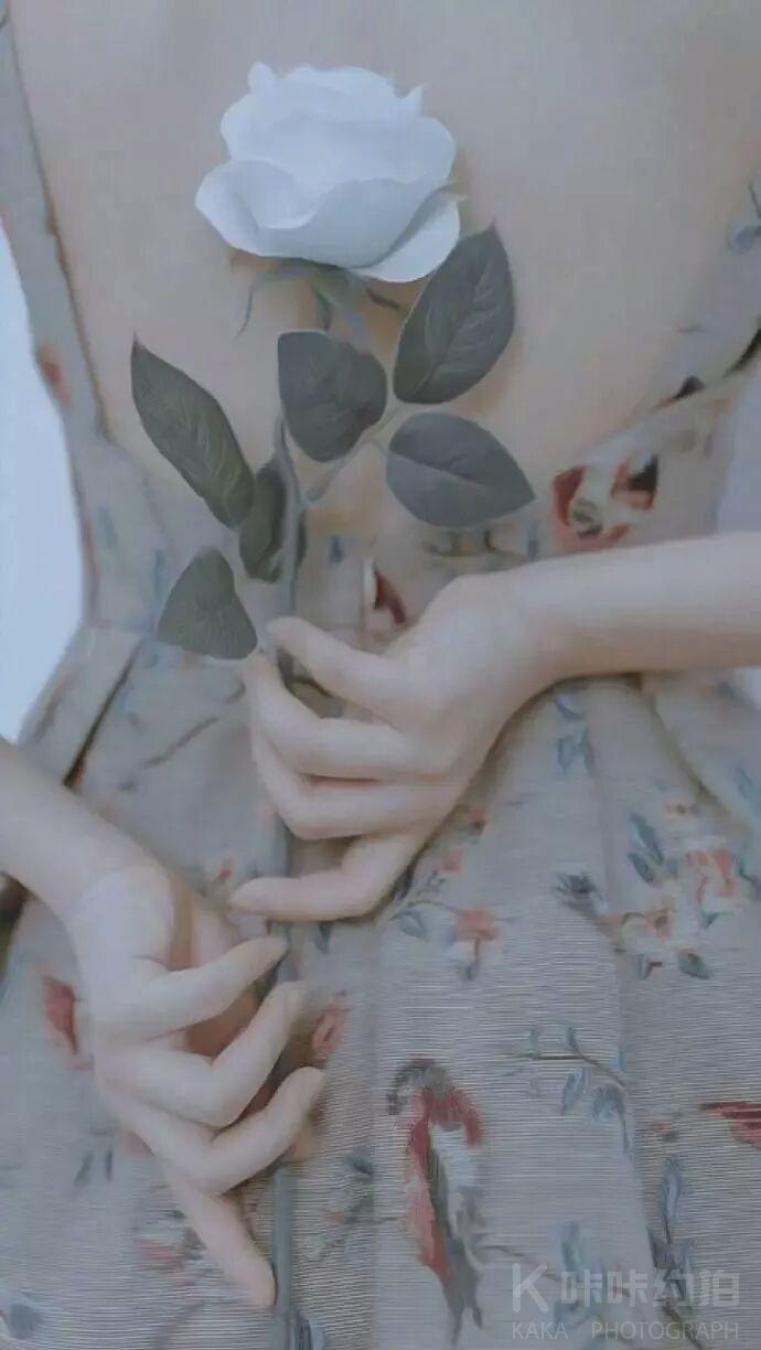 作品图 1