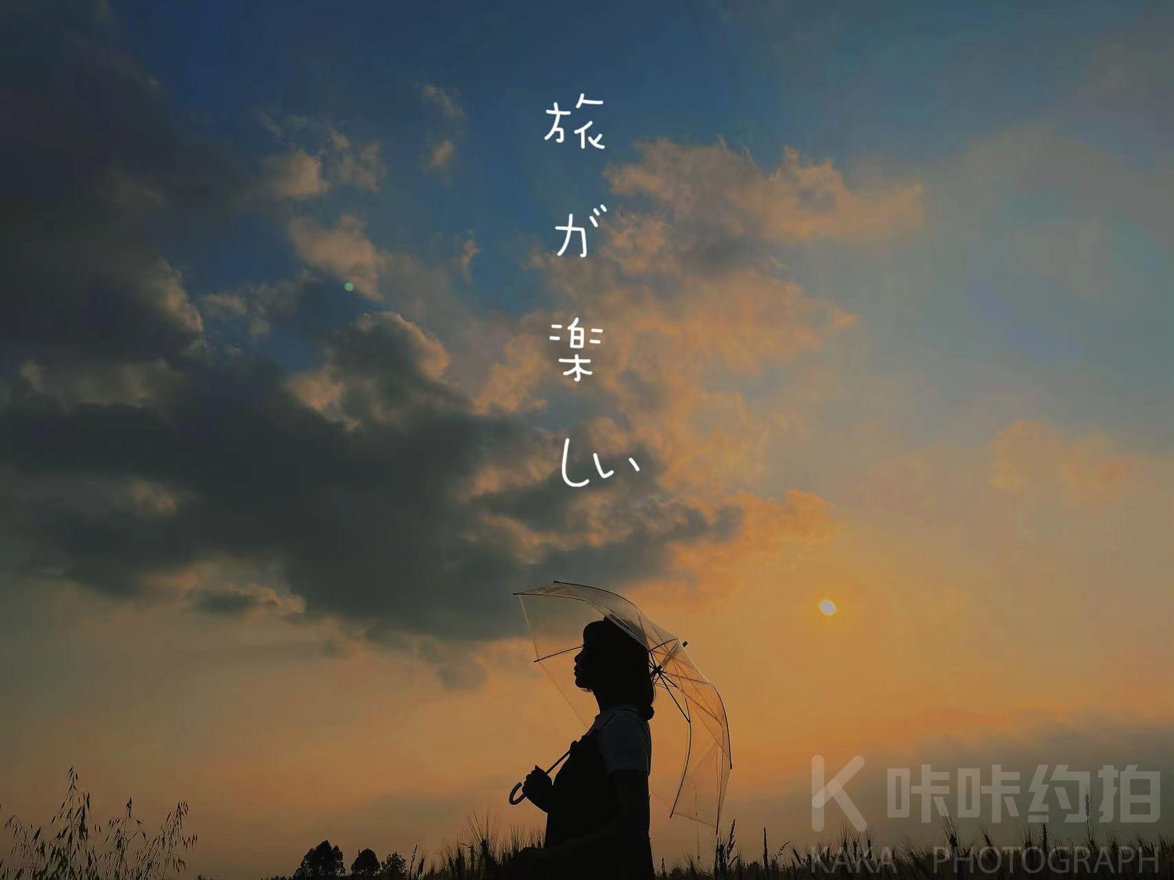 作品图 5