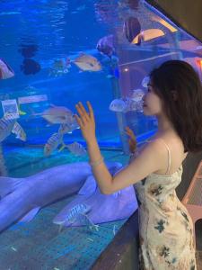 晓姌