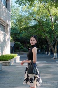 校园的玫瑰
