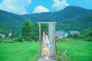 猫猫会拍照