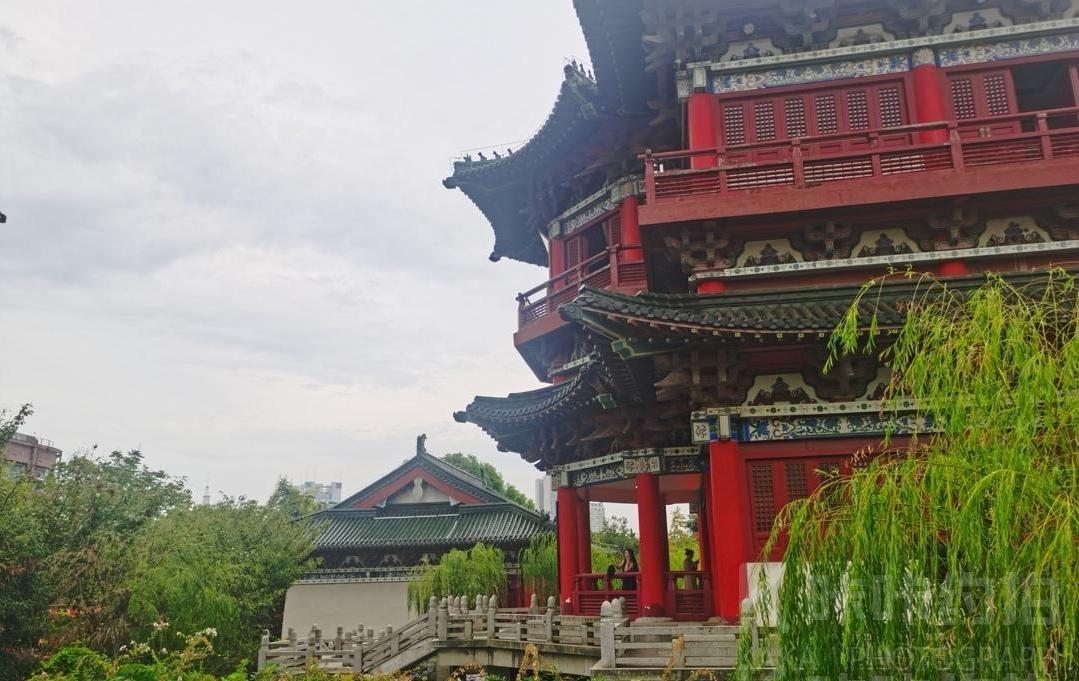场地图 7