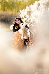 李  