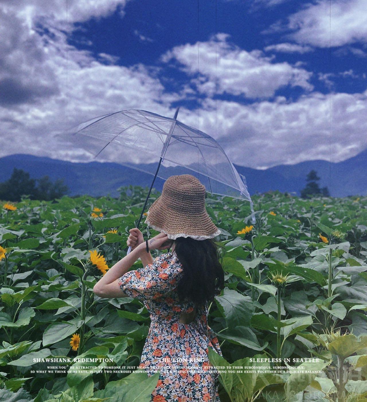 作品图 8