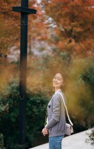 黄山松子