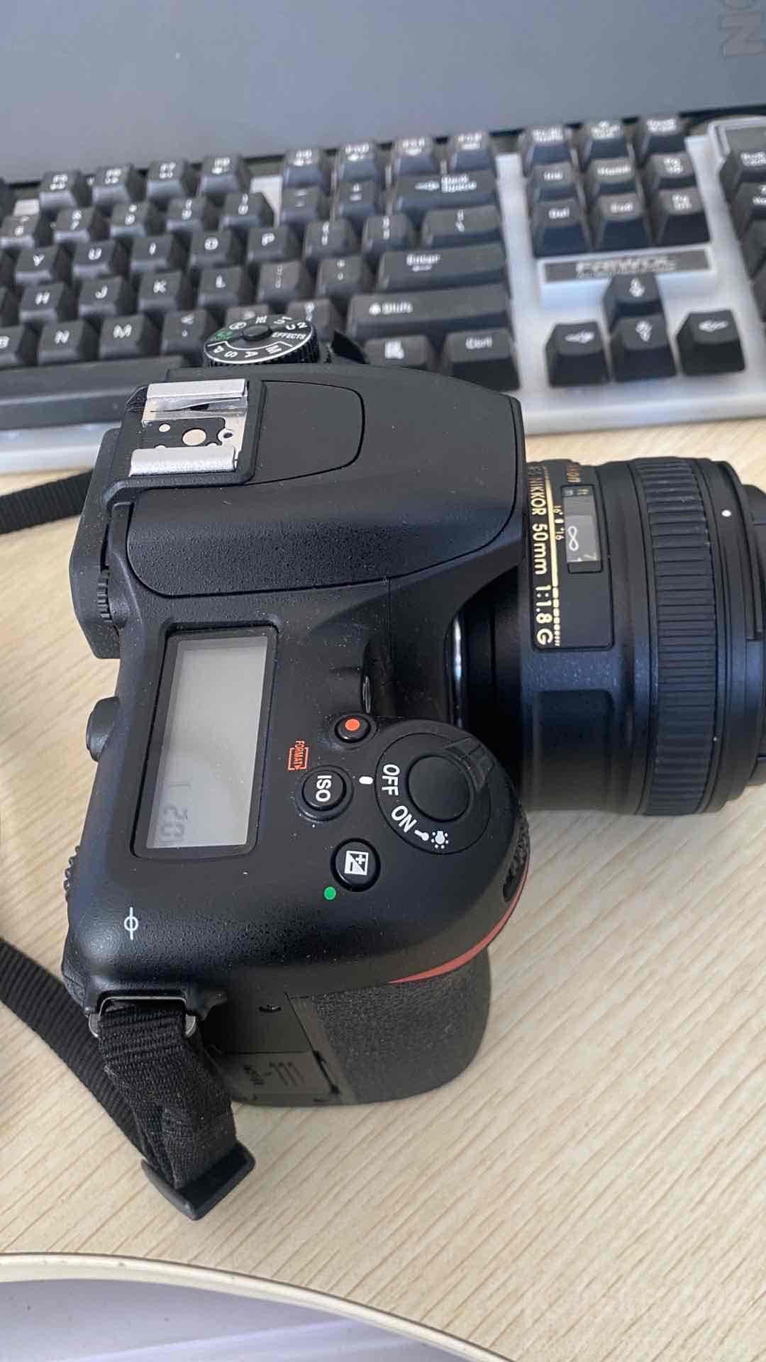 作品图 5