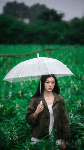 事了拂衣去