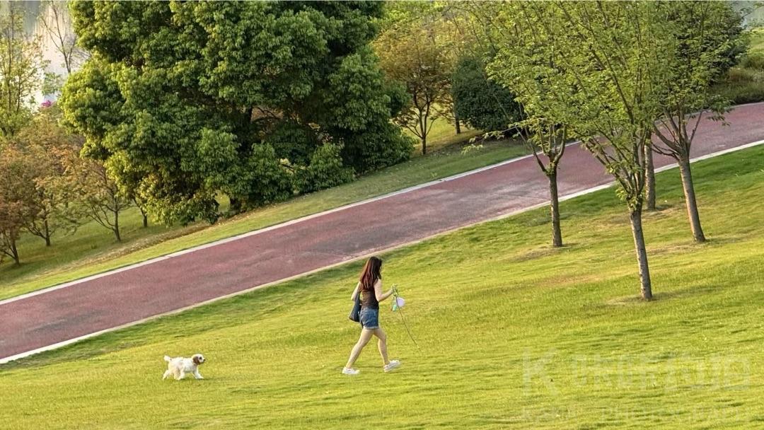 哈哈摄影师