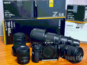 ZMG060