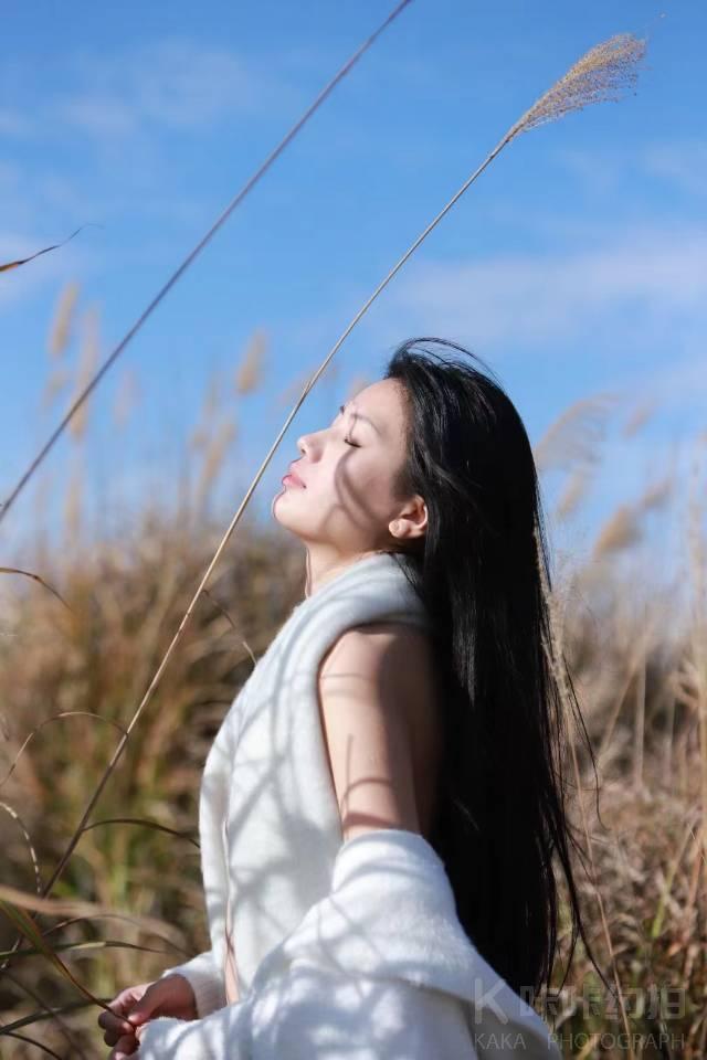 作品图 7