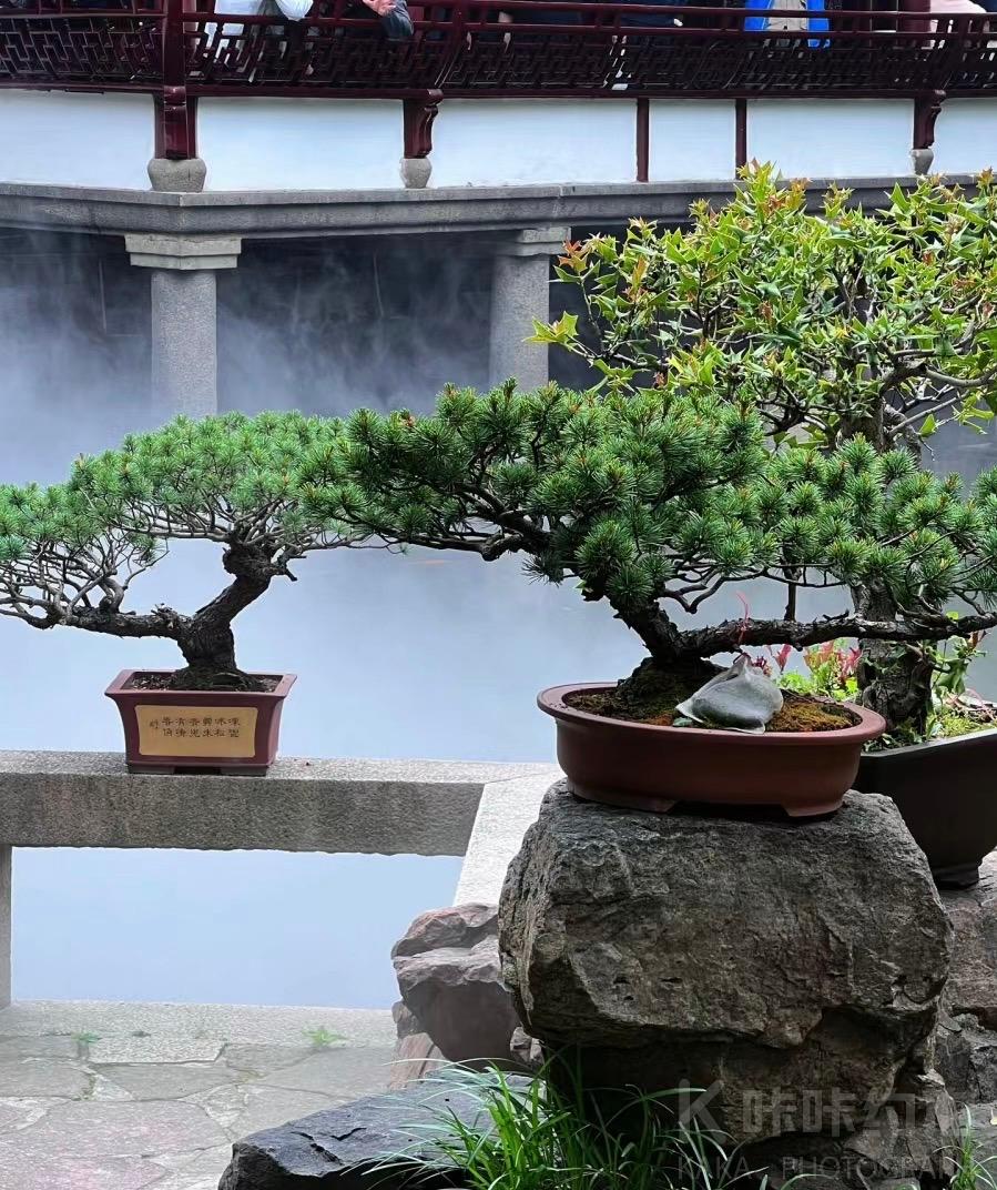 场地图 3