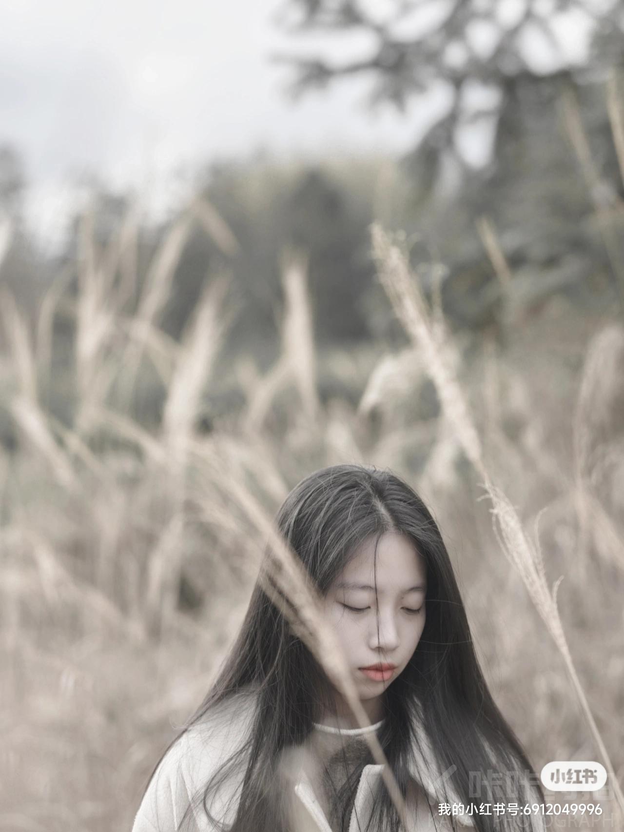 作品图 5