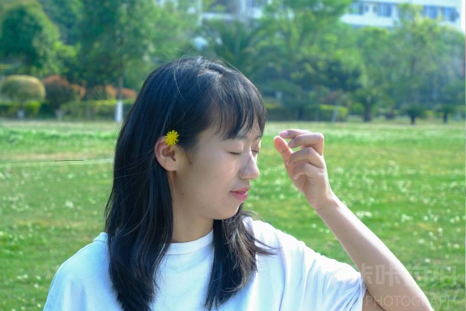 作品图 6