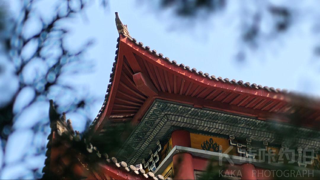 作品图 7