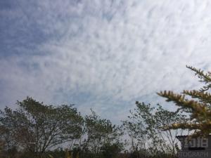 约拍图 3
