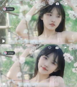 芝士妹妹