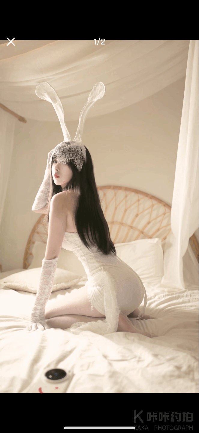 作品图 1
