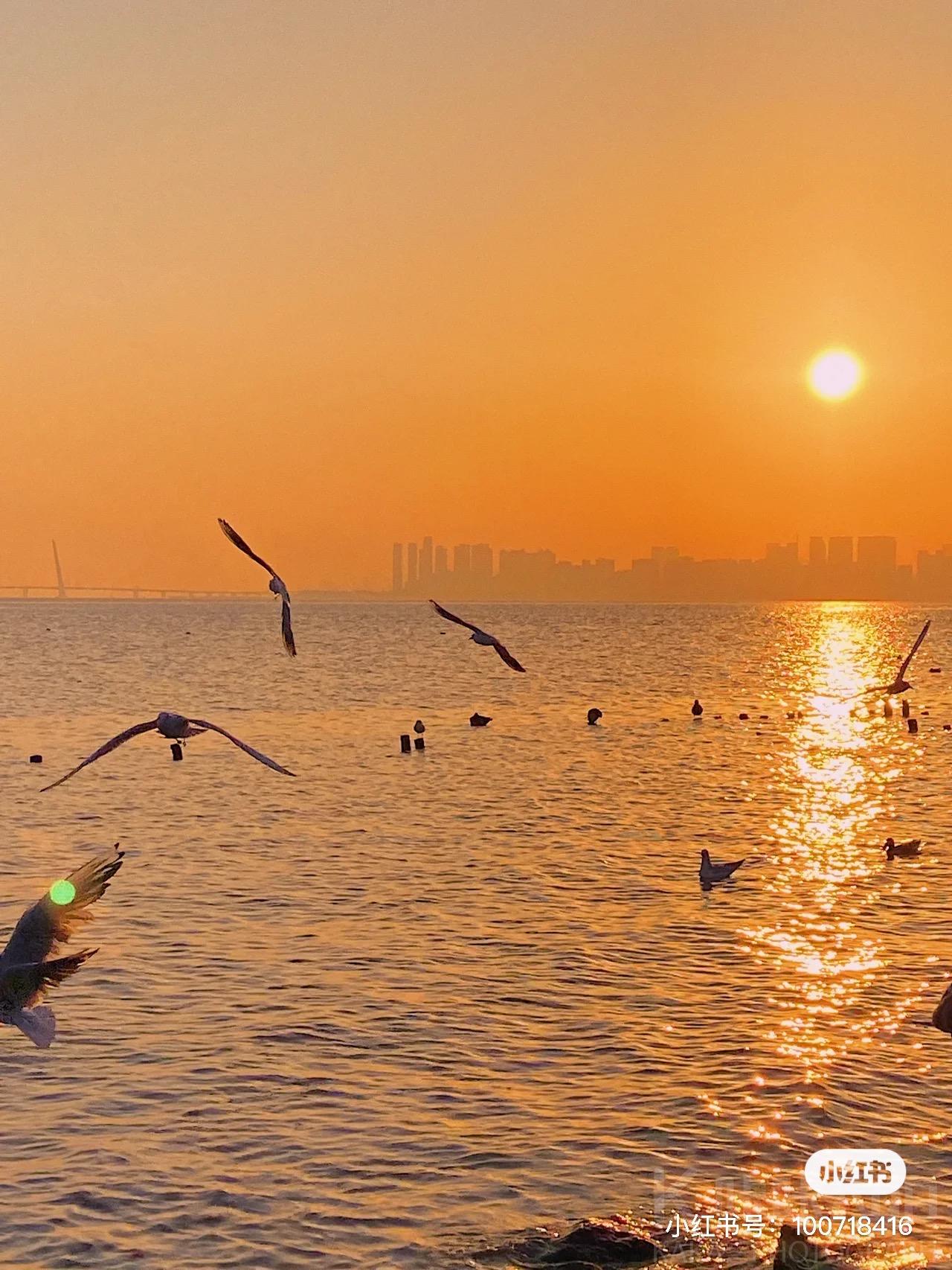 深圳湾公园