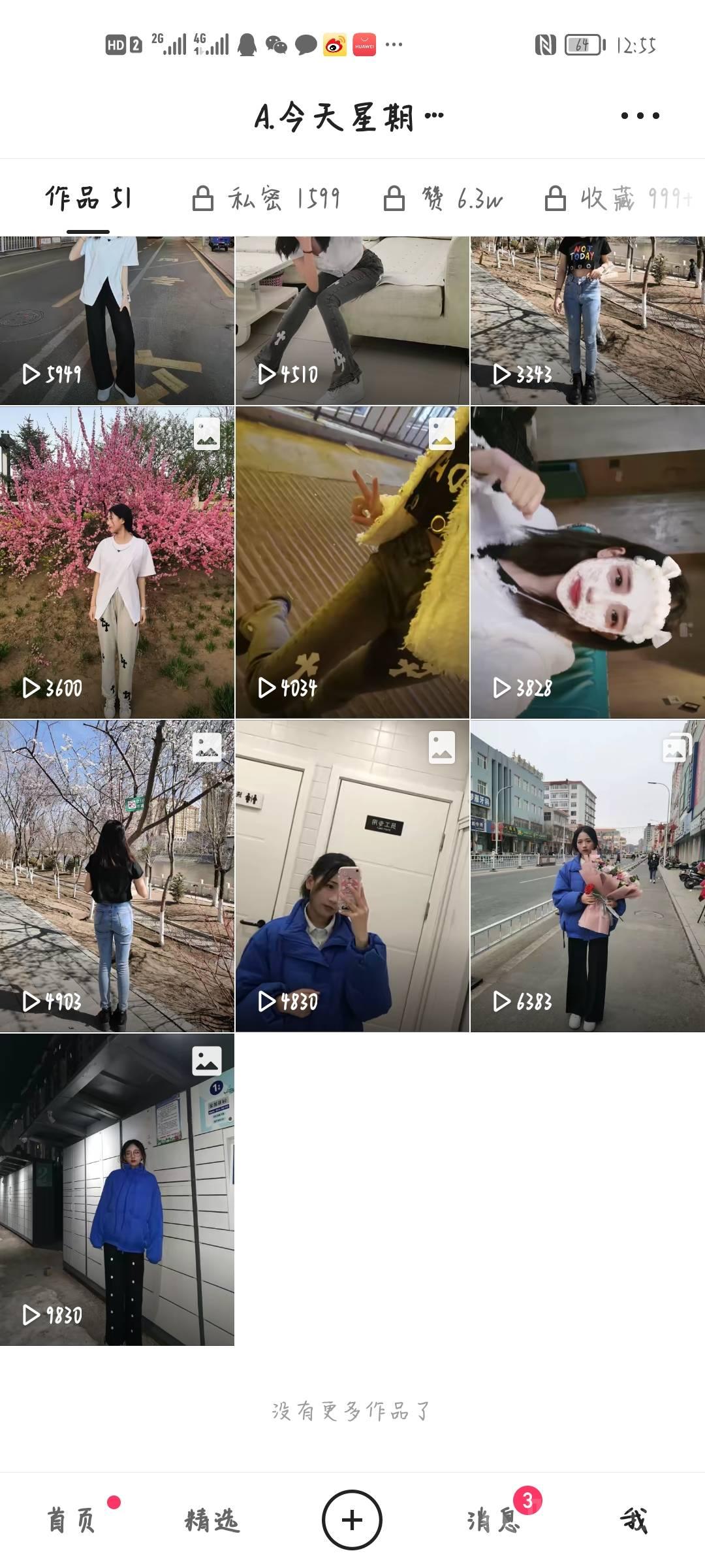 作品图 6