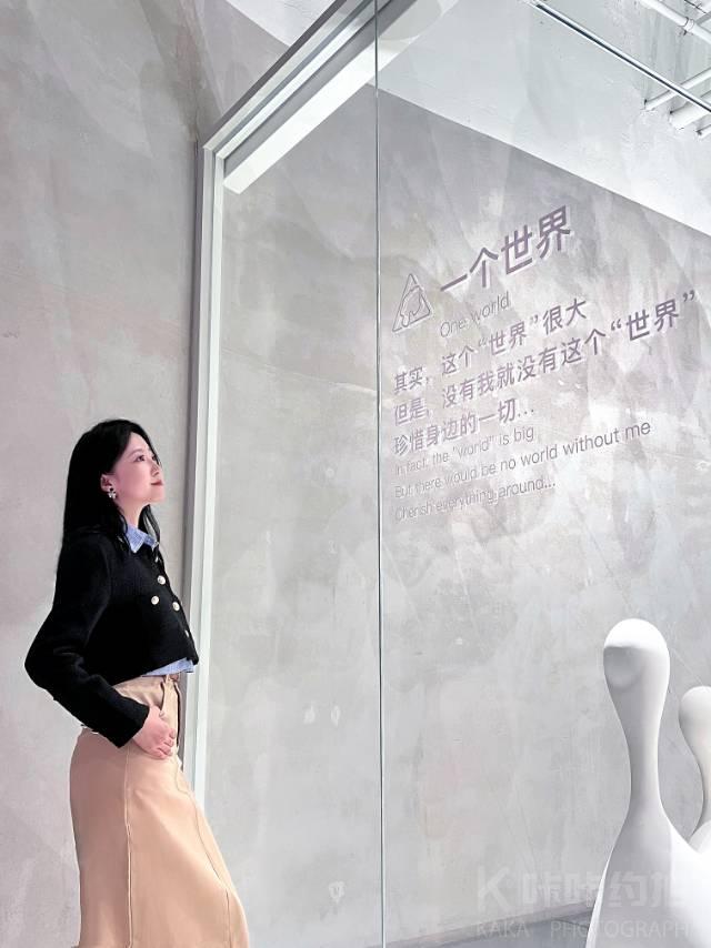 作品图 6