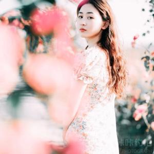 黄山松子