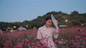 最新约拍