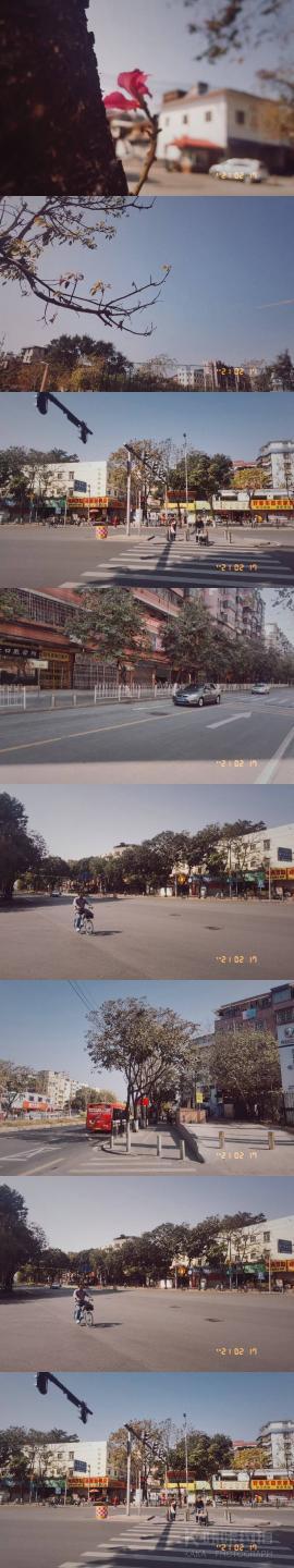 作品图 9