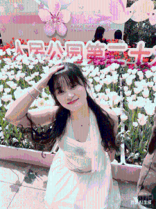 三角兔粉人