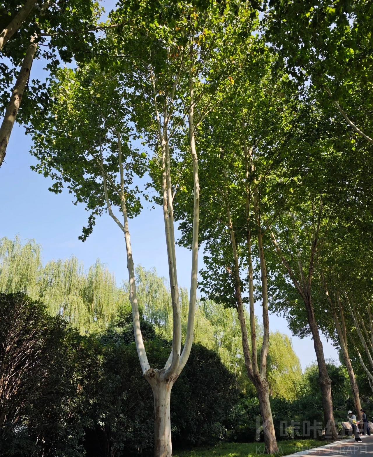 郑州植物园