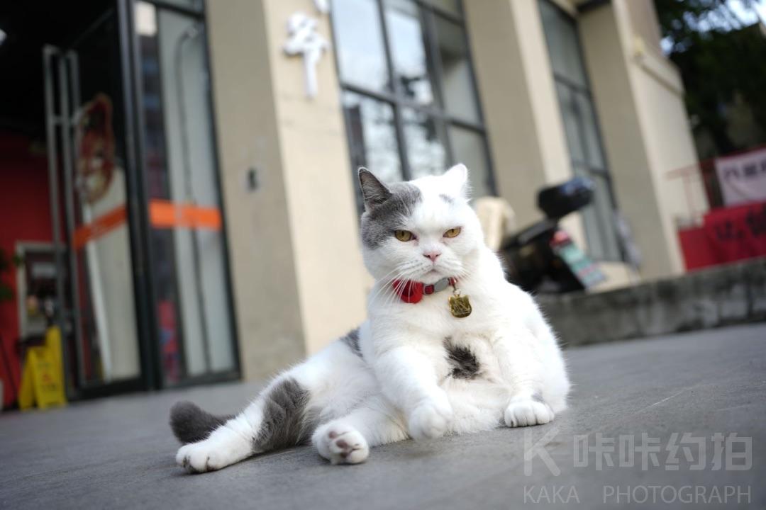 张三