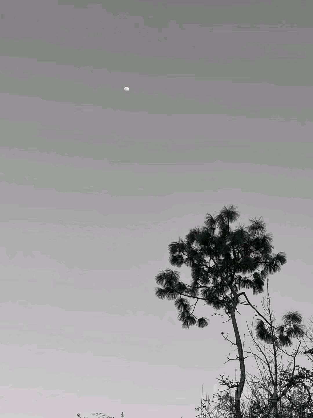 作品图 14