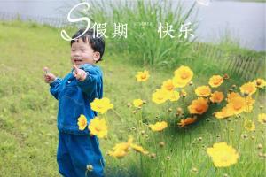 小林子