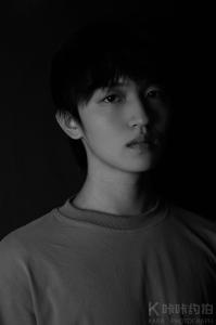 段维奥