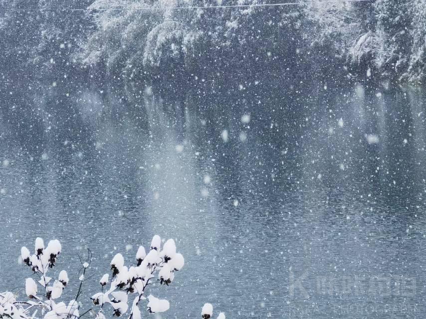 作品图 5