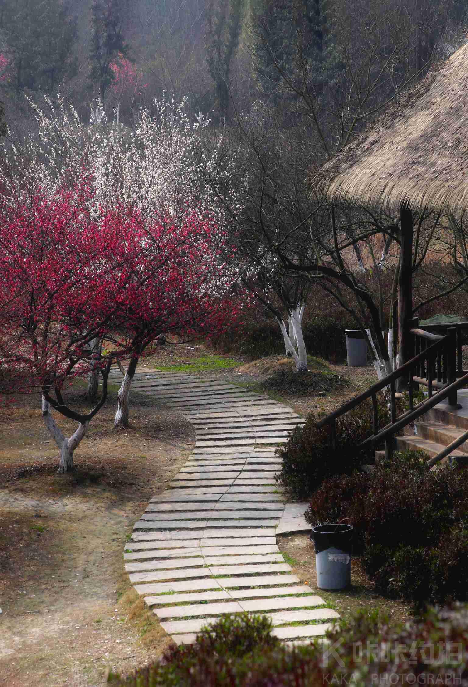 场地图 3