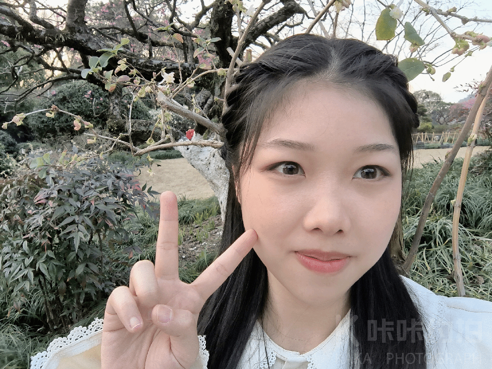 作品图 1
