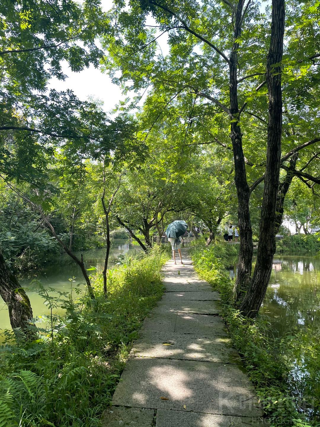 场地图 5