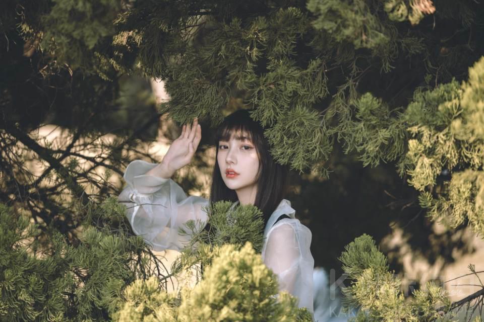 作品图 1