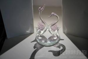 互免摄影