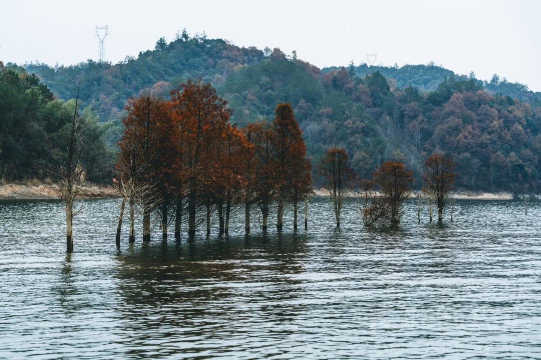 场地图 5