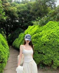 树的影子