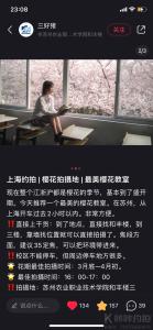 约拍图 2