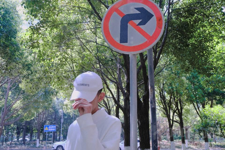 作品图 5