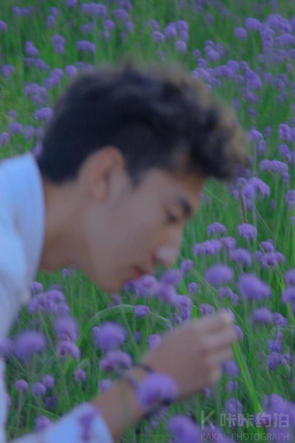 达尔文