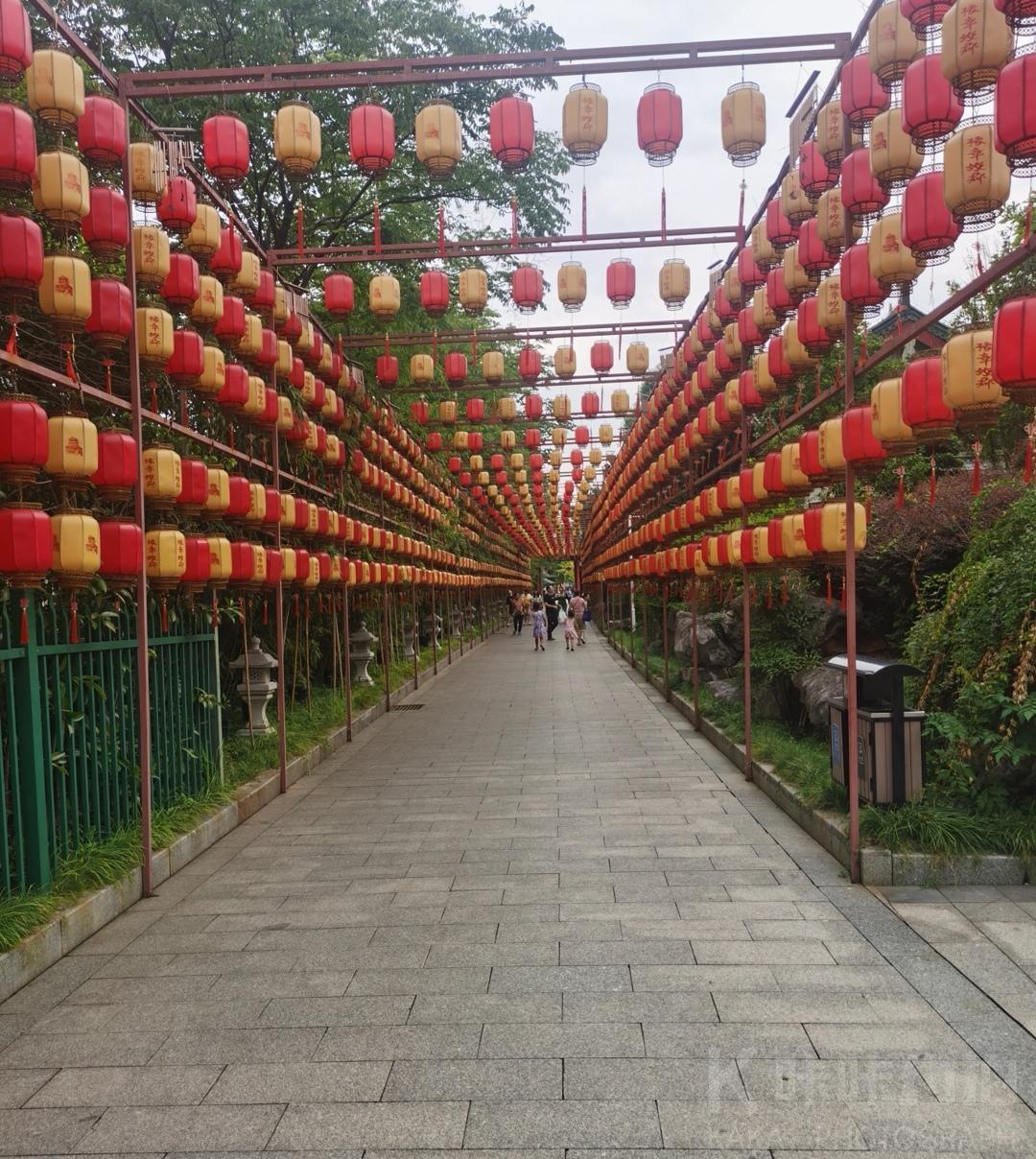 场地图 5