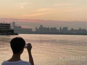 L.不凝