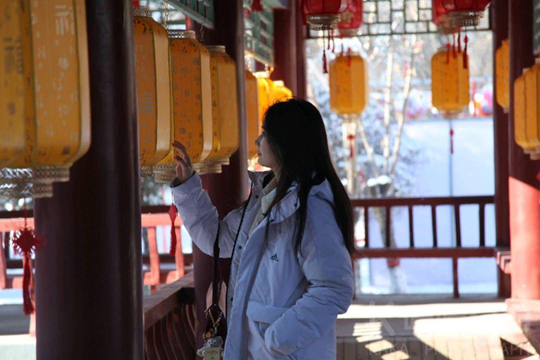作品图 2
