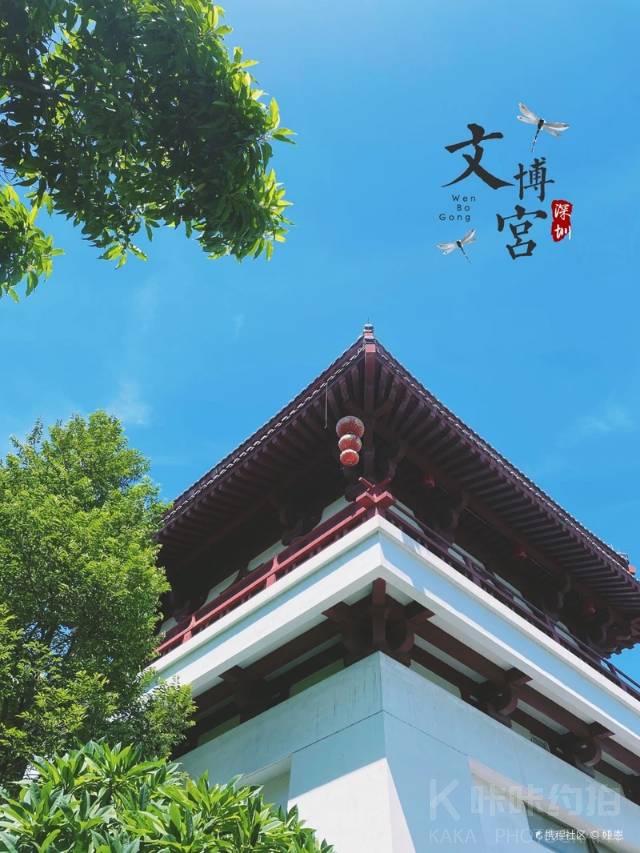 场地图 2
