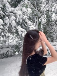 淇淇鼠