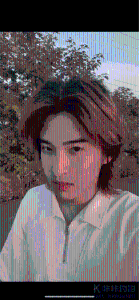 程奇
